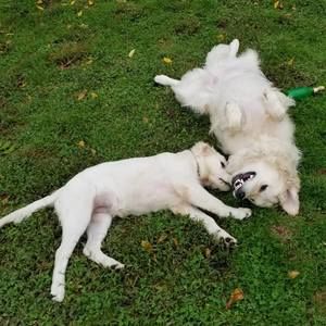 Meet your Posher, Wendy